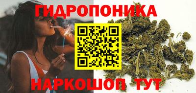 крисы Апшеронск