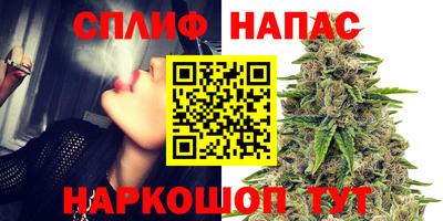 гидра Апрелевка
