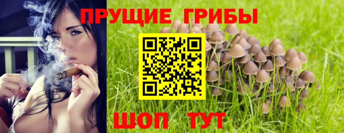 Псилоцибиновые грибы Psilocybine cubensis  Вход с VPN  Брянск 